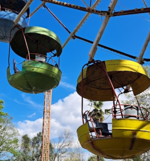 Entertainment Purpose