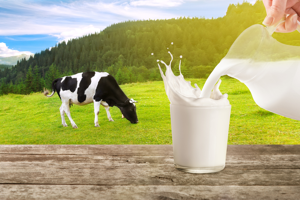 Milk Products