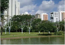 Solar Tree Technology
